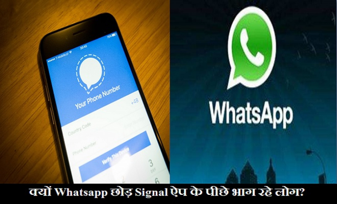 Signal App, Signal vs Whatsapp