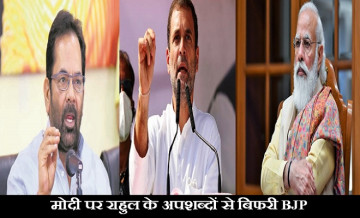 rahul attack modi, bjp leaders on rahul statement
