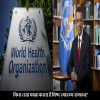 World Health Organization, How WHO Work