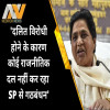 Mayawati, UP Election
