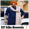Sidhu Moose Wala, murder