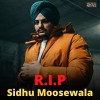 singer Sidhu moosewala, murdered 