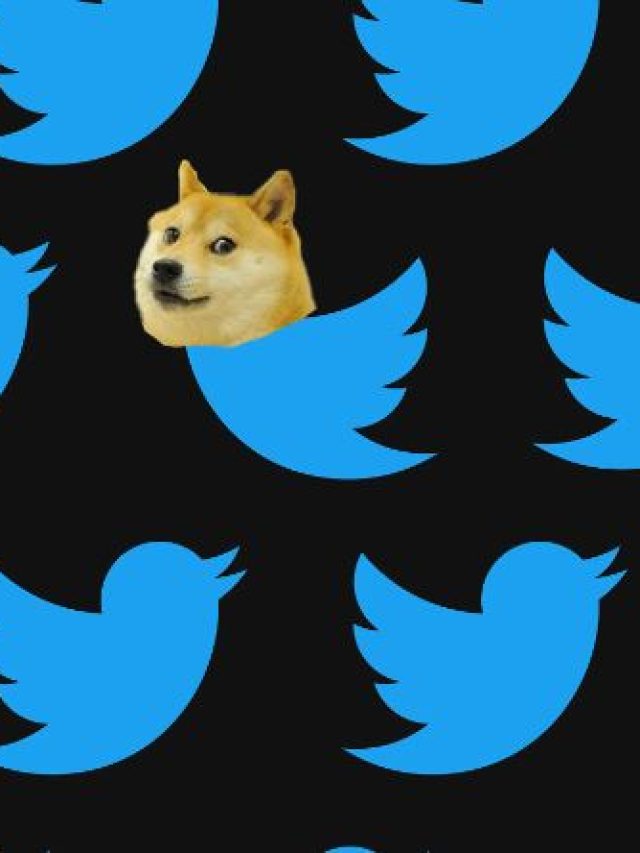 आखिर मस्क ने क्यों बदला Twitter Logo? ये है Doge की कहानी