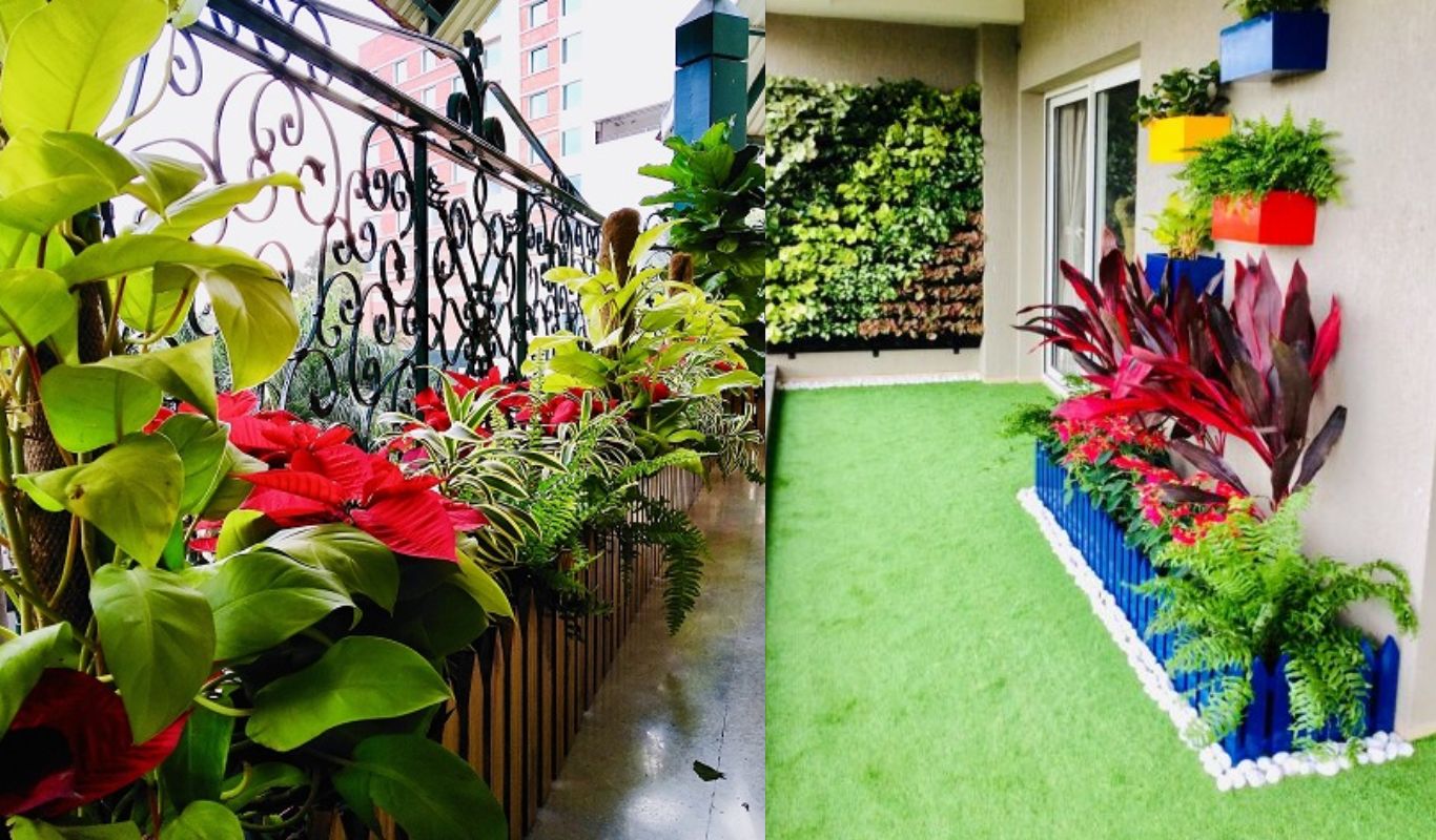 Amazing ideas for Home Garden