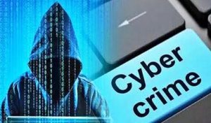 cyber crime 