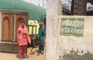 Muslim girl running cow shelter