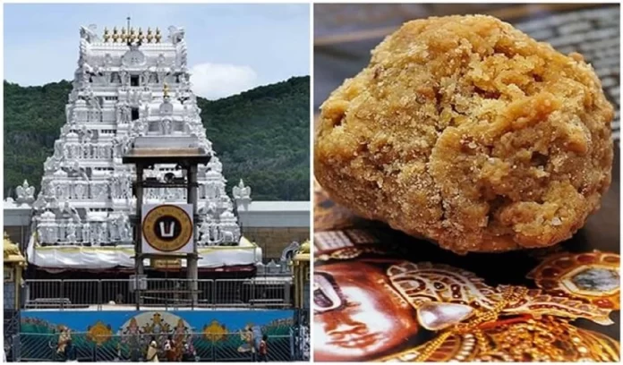 chandrababu naidu claim Animal fat found Tirupati temple's Laddus