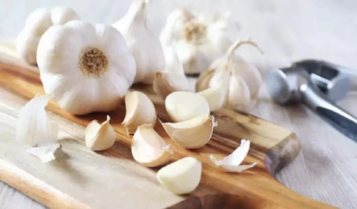 Indian garlic and Chinese garlic