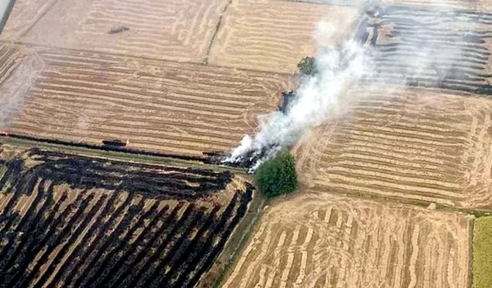 Ludhiana village and burning stubble