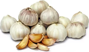 Indian garlic and Chinese garlic