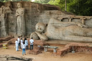 Buddhism destruction vs India