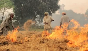 Ludhiana village and burning stubble