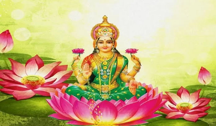 Lotus Flower in Lakshmi Pooja