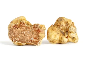 White Truffles