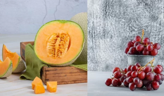 Top 5 most expensive Fruits, Yubari King Melon