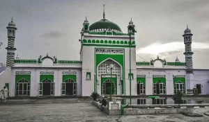 Sambhal Jama Masjid, Harihar Mandir