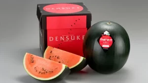 Densuke Watermelon