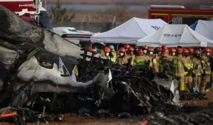 South Korea plane crash South Korea news