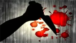 Murder in Delhi, Delhi Murder News