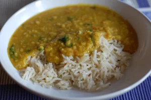 Dal-Chawal American research American Nutrition Conference