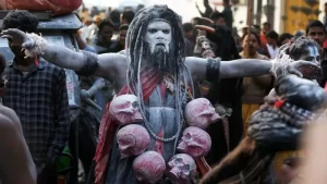 Naga Sadhu, Naga Sadhu At Maha kumbh