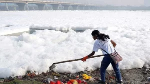 TERI Roadmap On Yamuna River delhi