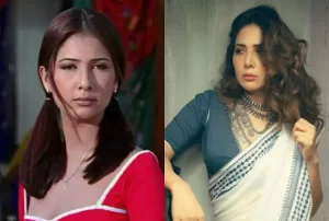 Kim Sharma Career bollywood