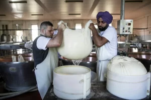 Sikhism in Italy sikh