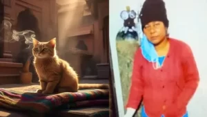 UP News UP Cat owner suicide