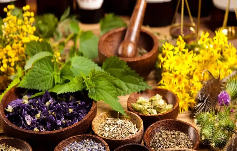 Herbs beneficial for the kidneys