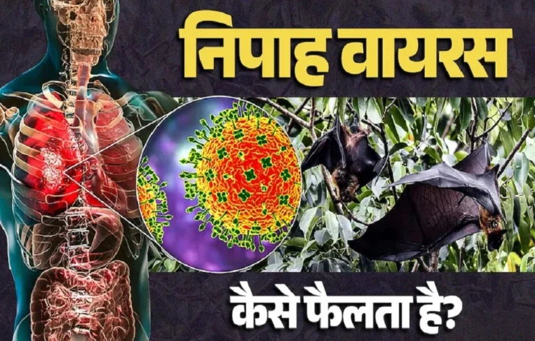 Nipah virus