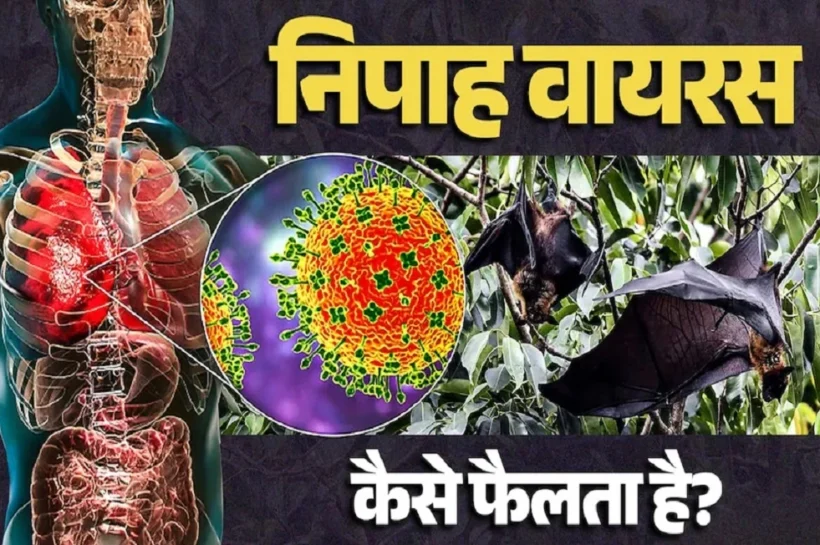 Nipah virus