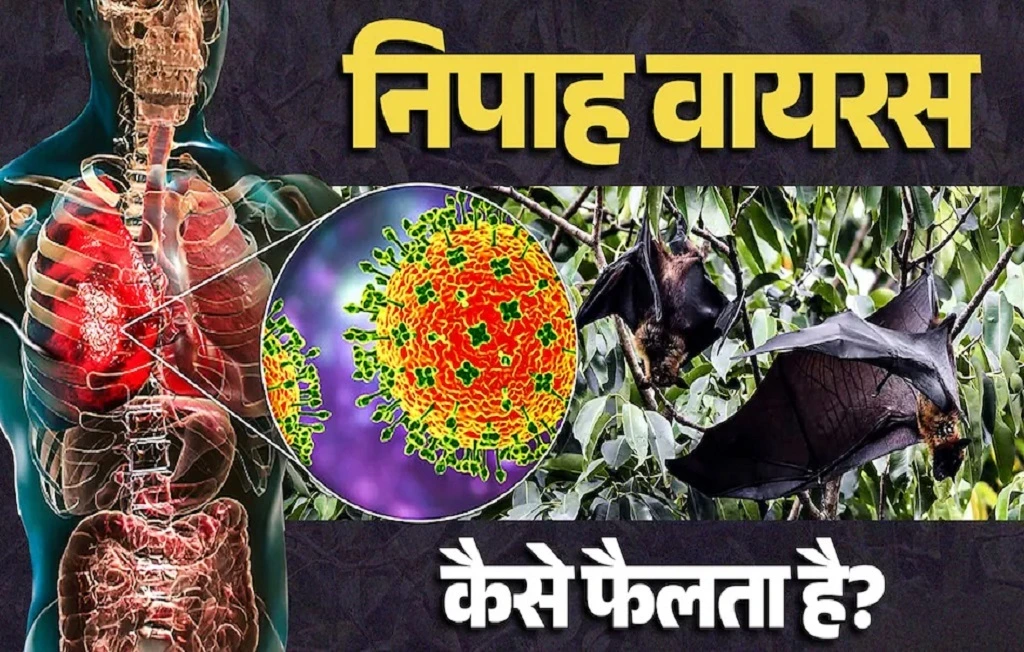 Nipah virus