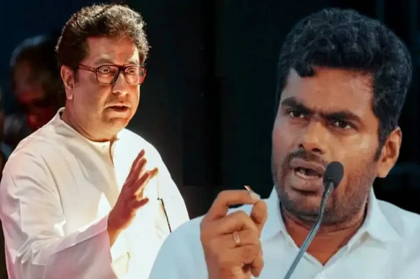 Maharashtra municipal elections