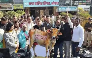 Bhopal Slaughter House