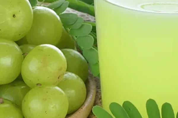 Amla Benefits, Amla Benefits in winter