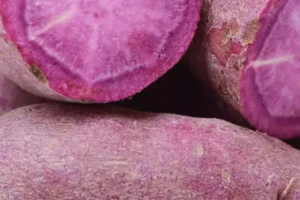 Sweet Potato, Sweet Potato benefits