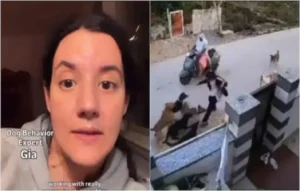 Stray dog attack: डॉग बिहेवियर एक्सपर्ट ने सिखाई आवारा कुत्तों से बचने की ट्रिक, वीडियो वायरल Stray dog attack