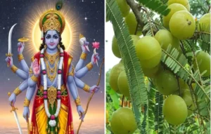 Amalaki Ekadashi 2026