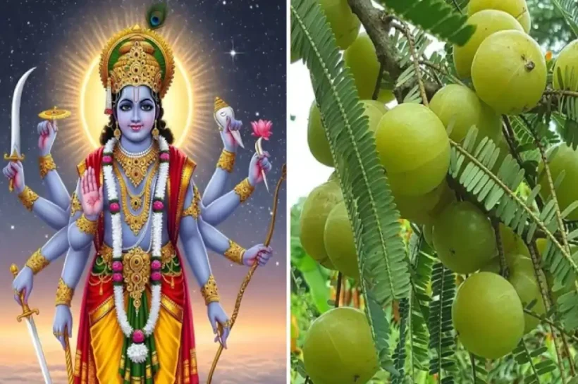 Amalaki Ekadashi 2026