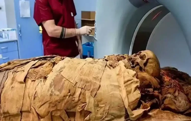 Egyptian Mummy CT Scan