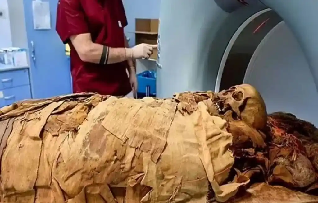 Egyptian Mummy CT Scan