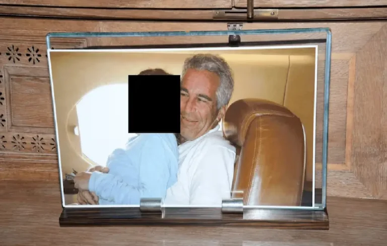 Epstein Files, Bollywood Guy in Epstein List