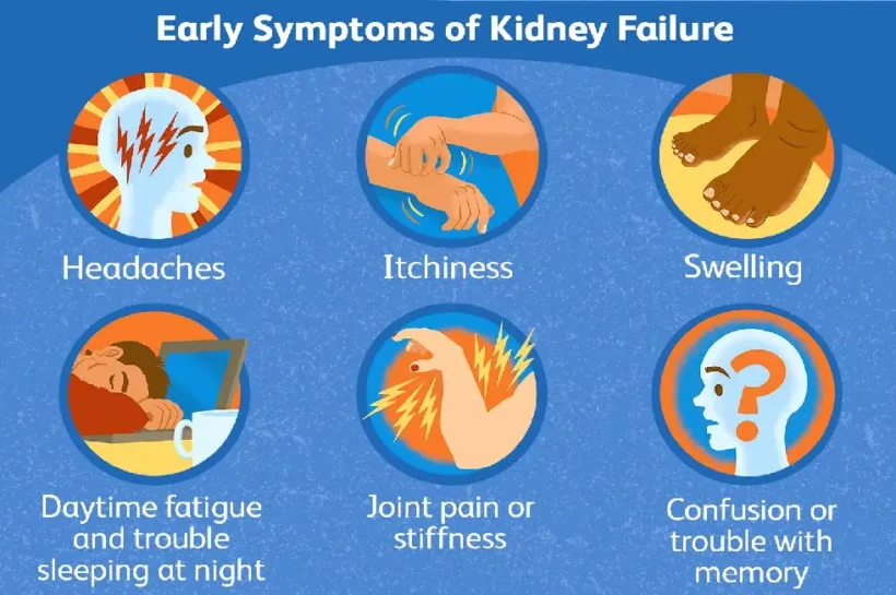 Kidney Damage Symptoms