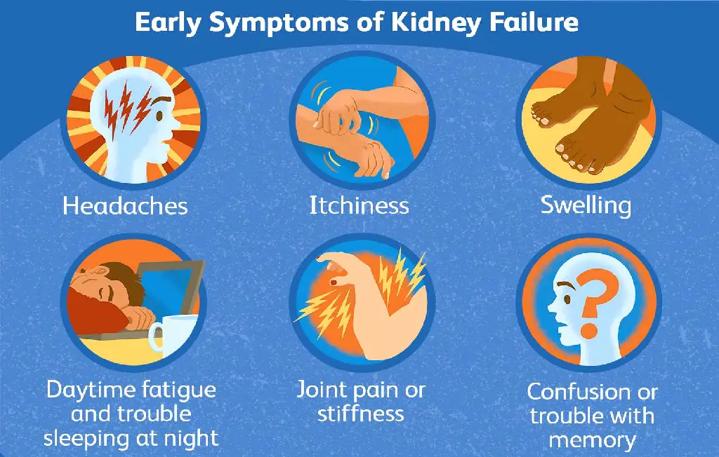 Kidney Damage Symptoms