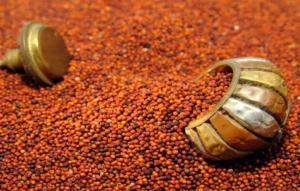 Ragi Benefits And Side Effects: रागी के क्या फायदे और नुकसान हैं? क्या यह सच में वज़न घटाने में मदद करता है या सिर्फ़ एक मिथक है? Ragi Benefits And Side Effects