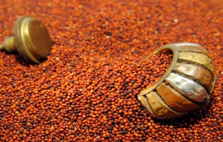 Ragi Benefits And Side Effects: रागी के क्या फायदे और नुकसान हैं? क्या यह सच में वज़न घटाने में मदद करता है या सिर्फ़ एक मिथक है? Ragi Benefits And Side Effects