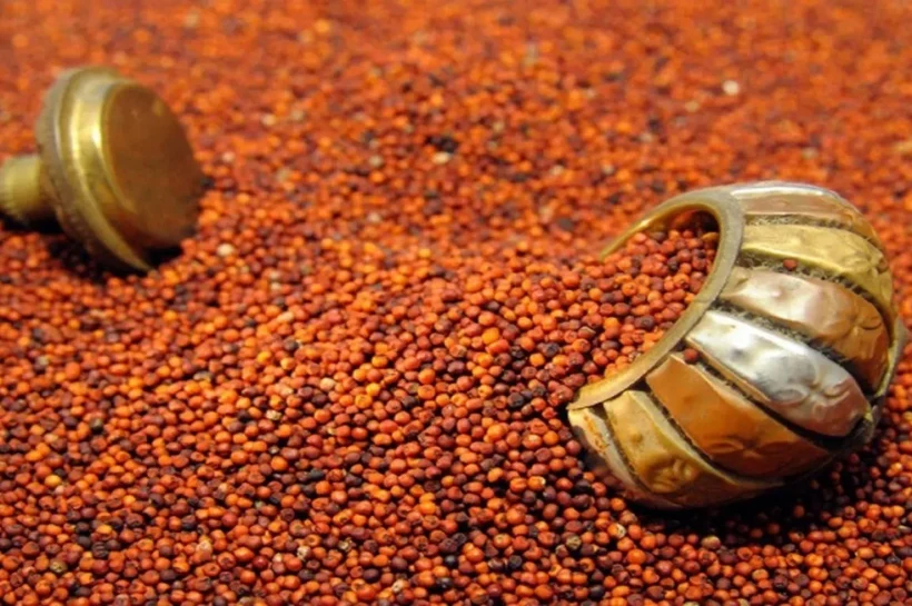 Ragi Benefits And Side Effects