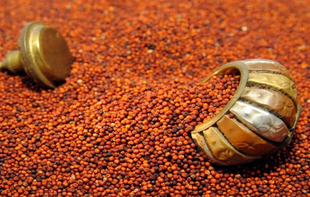 Ragi Benefits And Side Effects