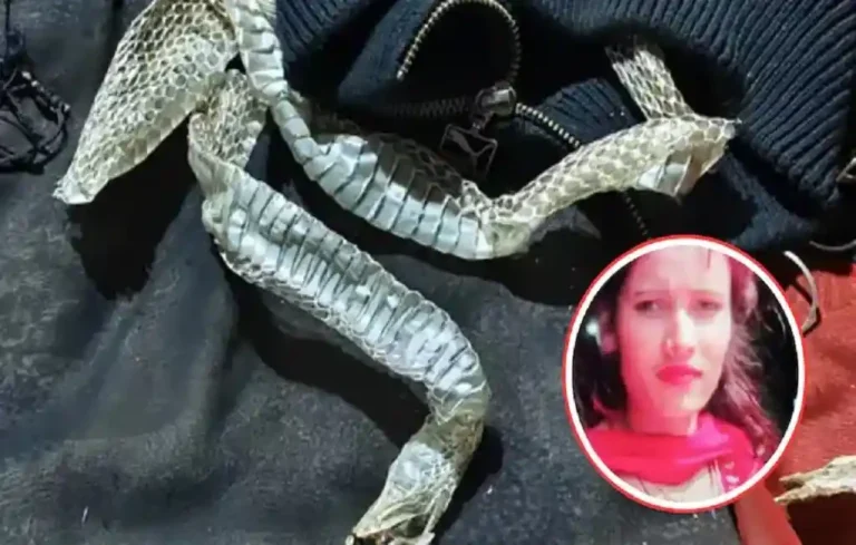 UP Naagin Controversy: उत्तर प्रदेश में इच्छाधारी नागिन का ड्रामा, युवती ने शादी से बचने के लिए रचा फिल्मी प्लान UP Naagin Controversy